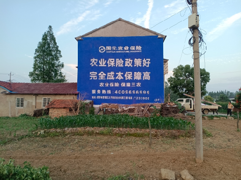 思南墙体广告为何受追捧？